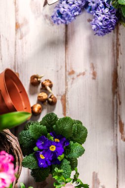 Bahçecilik aletleri ve çiçekler tencere