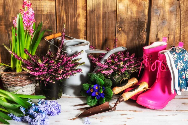 Herramientas de jardinería y flores en las macetas —  Fotos de Stock