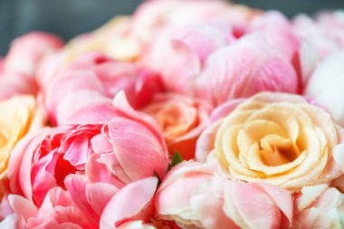 Taze pembe şakayıklar ve güller