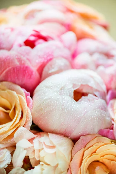 गुलाबी पीओनिस आणि गुलाब ताजे बंड — स्टॉक फोटो, इमेज