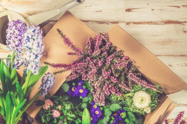 Bahçecilik aletleri ve çiçekler tencere