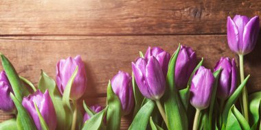 Rustik koyu arka plan üzerinde güzel mor laleler