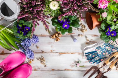 Bahçecilik aletleri ve çiçekler tencere