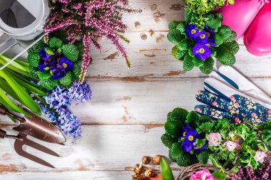 Bahçecilik aletleri ve çiçek dikimi için hazırlık tencere