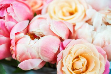 Taze pembe şakayıklar ve güller