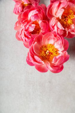 Hafif arka planda inanılmaz pembe şakayıklar