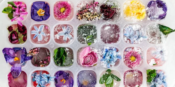 Tablett mit gefrorenen Blumen in Eiswürfeln — Stockfoto