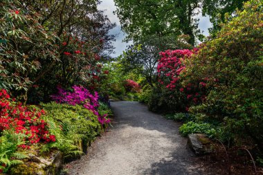 Baharda çiçek açan ağaçları olan güzel bir bahçe.