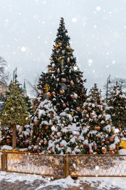 Red Squire 'da Moskova 'da yılbaşı ve yeni yıl zamanı