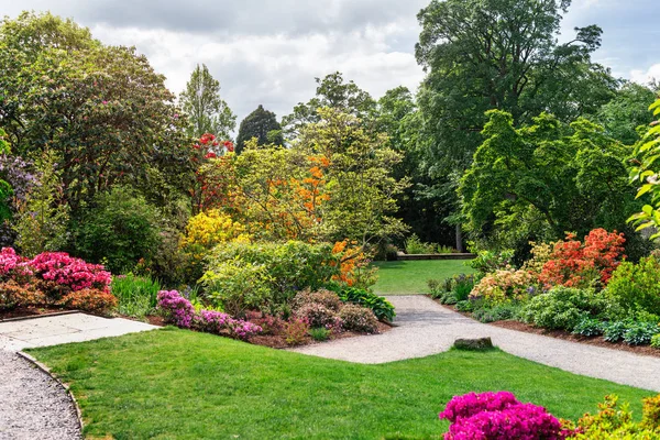 Beau jardin avec des arbres en fleurs pendant le printemps — Photo