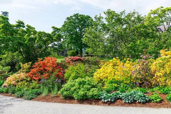 Vacker trädgård med blommande träd under våren — Stockfoto