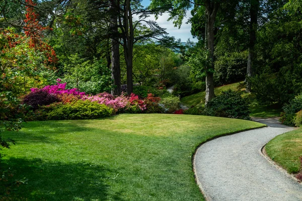 Baharda çiçek açan ağaçları olan güzel bir bahçe.