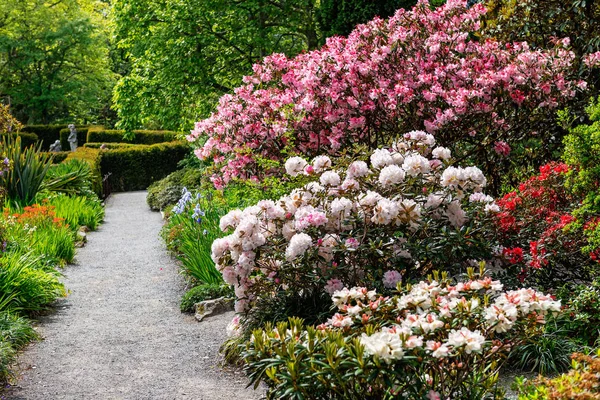 Baharda çiçek açan ağaçları olan güzel bir bahçe.