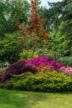 Baharda çiçek açan ağaçları olan güzel bir bahçe.