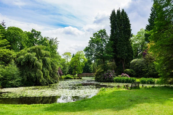 Jardin public anglais en été — Photo