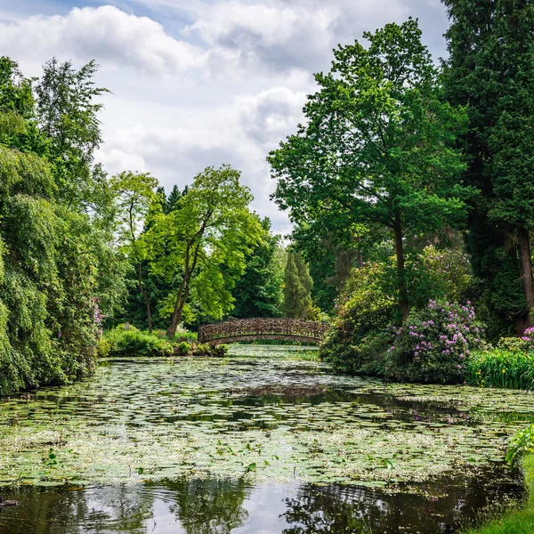 Jardín público inglés en verano —  Fotos de Stock