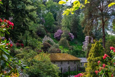 Baharda çiçek açan ağaçları olan güzel bir bahçe.