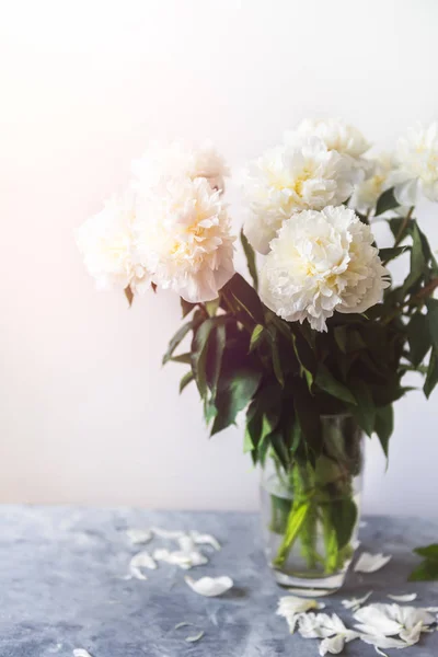 Bunch of amazing peonies in the vase — Stock Photo, Image