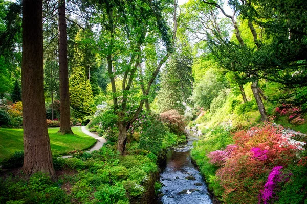 Ogród z kwitnącymi drzewami w czasie wiosny, Walia, UK — Zdjęcie stockowe
