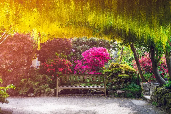 Zahrada s kvetoucí stromy za jarní čas, Wales, Velká Británie — Stock fotografie