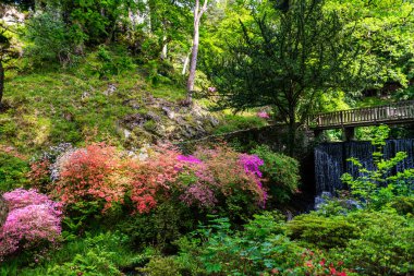 Spring Time sırasında çiçeklenme ağaçları ile Bahçe, Galler, Ingiltere