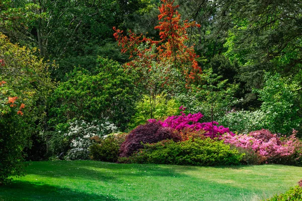 Jardim bonito com árvores florescendo durante o tempo de primavera — Fotografia de Stock
