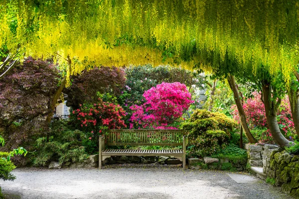 Tavaszra virágzó fákkal ellátott kert, Wales, uk — Stock Fotó