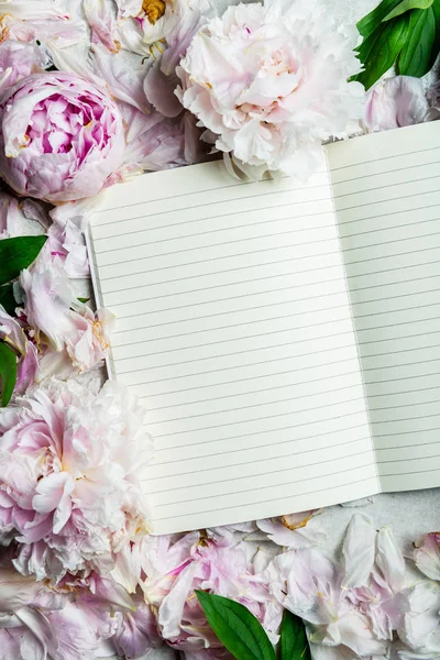 Frame made of pink peony flowers and open notebook — Stock Photo, Image