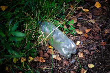 Yol kenarındaki ormanda plastik şişe
