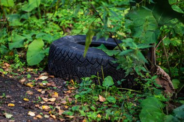 Yol kenarındaki ormanda siyah eski lastik