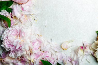 Çerçeve pembe şakayık çiçeklerinden yapılmış.