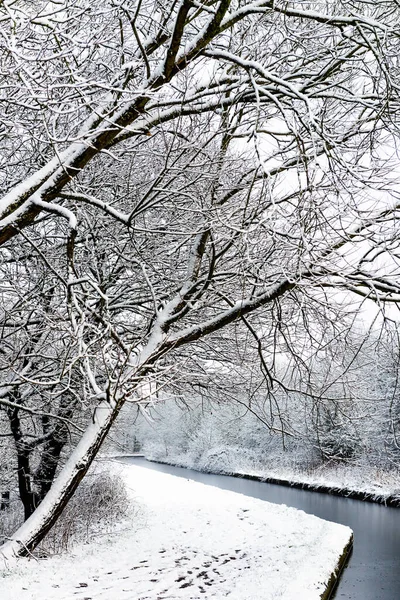 Nevando em janeiro na Inglaterra, Reino Unido — Fotografia de Stock