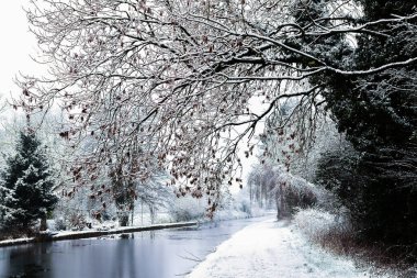İngiltere 'de Ocak ayında kar yağıyor, Uk.