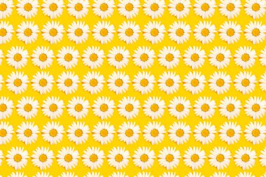 Çiçekli papatya deseni