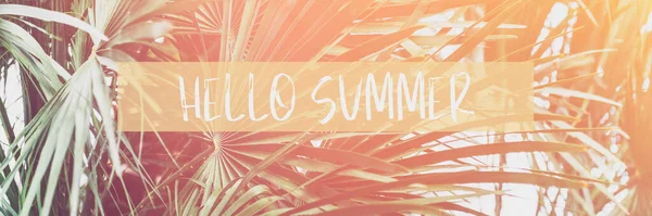 Palm trees, summer background — Stock Photo, Image