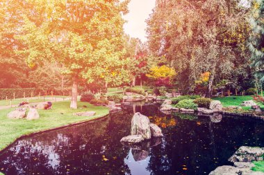 Sonbahar Parkı, Londra, İngiltere