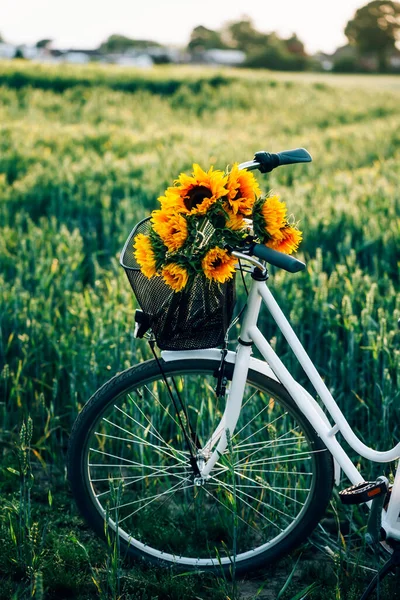 Vintage Fahrrad mit Sonnenblumen — Stockfoto