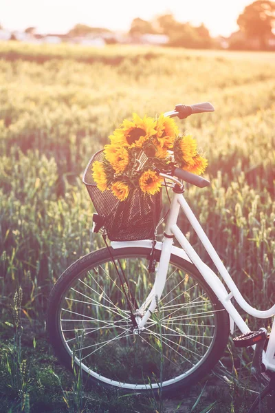 Vintage Fahrrad mit Sonnenblumen — Stockfoto