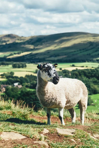 Yaz boyunca Edale tatili — Stok fotoğraf