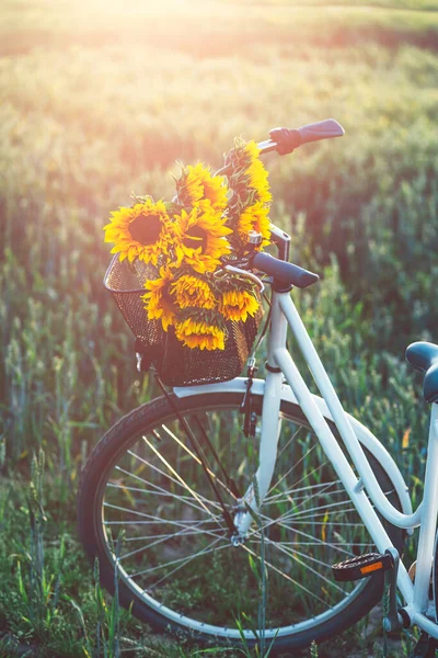 Vintage Fahrrad mit Sonnenblumen — Stockfoto