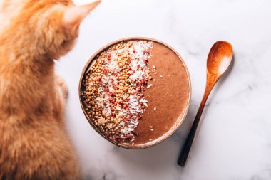 Çikolatalı Smoothie hindistan cevizi kasesinde