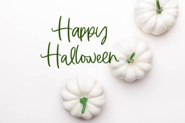 Beyaz Balkabağı. Sonbahar konsepti