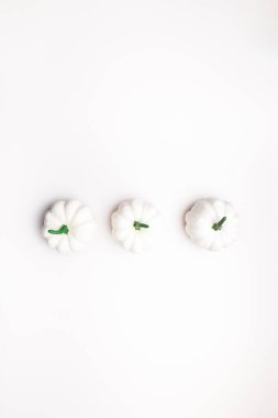 Beyaz Balkabağı. Sonbahar konsepti