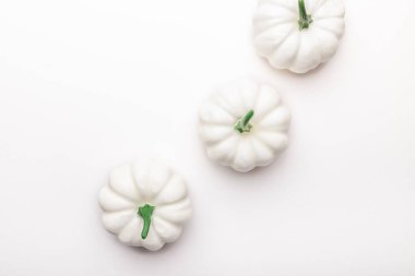 Beyaz Balkabağı. Sonbahar konsepti