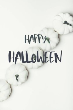 Beyaz Balkabağı. Sonbahar konsepti