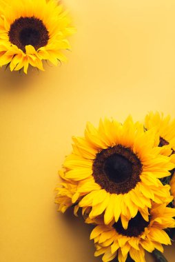 Sarı Ayçiçeği Buketi