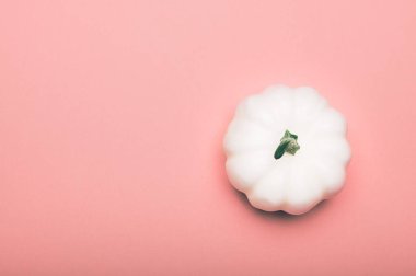 Açık pembe arka planda beyaz balkabakları. Minimum sonbahar konsepti, düz yatış, üst manzara. Cadılar Bayramı ya da Şükran Günü Tatil geçmişi