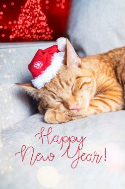 Mutlu yıllar mesajı. Sevimli küçük kızıl kedi kanepede uyur Noel şapkası ve yeni yıl kartpostalıyla