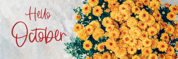 Bonjour Texte Octobre Avec Bouquet Fleurs Chrysanthème Orange Sur Fond — Photo