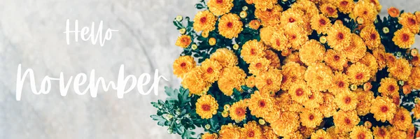 Hallo November Text Mit Einem Strauß Orangefarbener Chrysanthemenblüten Auf Hintergrund — Stockfoto